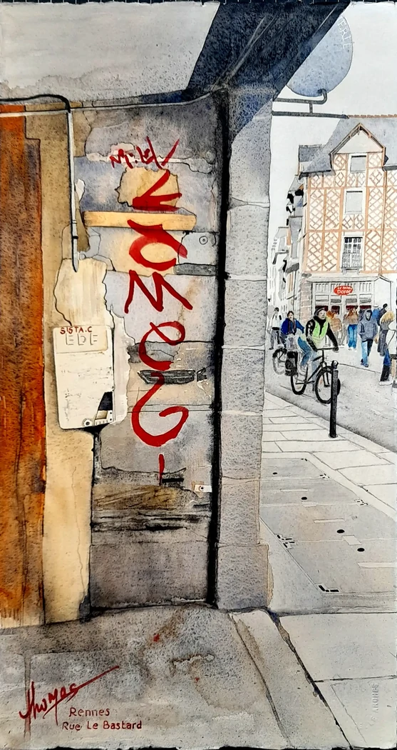 Rennes, rue le Bastard     45x72     450€